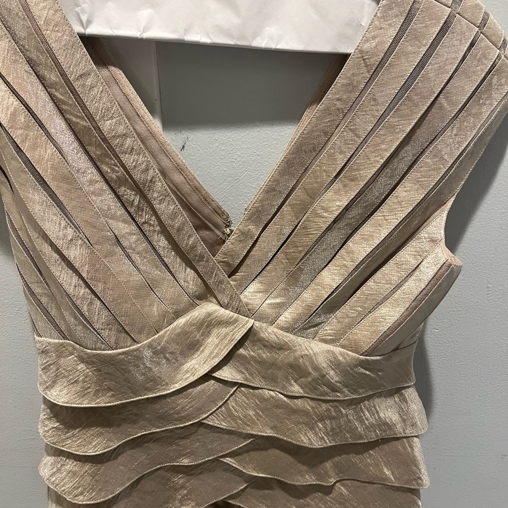 Adrianna Papell Champagne Backless Dress